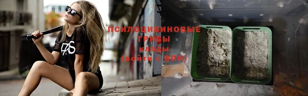 не бодяженный Алексин